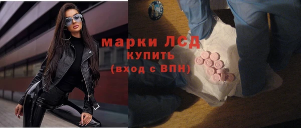 стаф Дмитров
