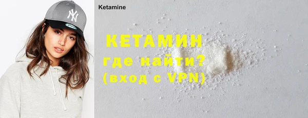 стаф Дмитров