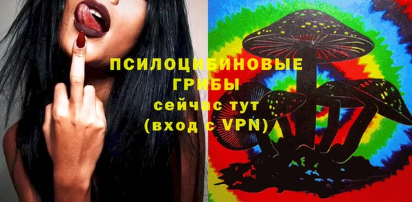 стаф Дмитров
