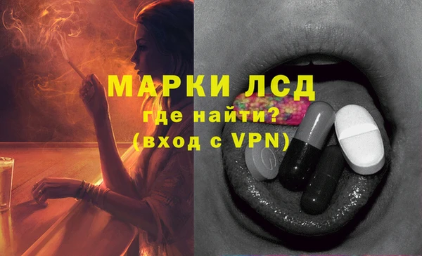 стаф Дмитров
