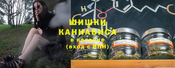 стаф Дмитров