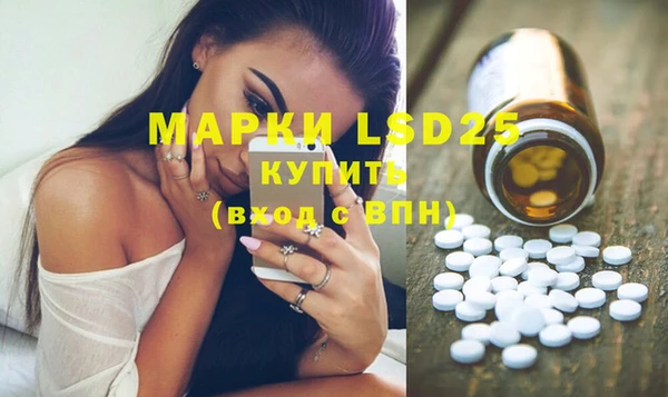стаф Дмитров
