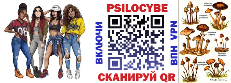 Галлюциногенные грибы мицелий  Вичуга 