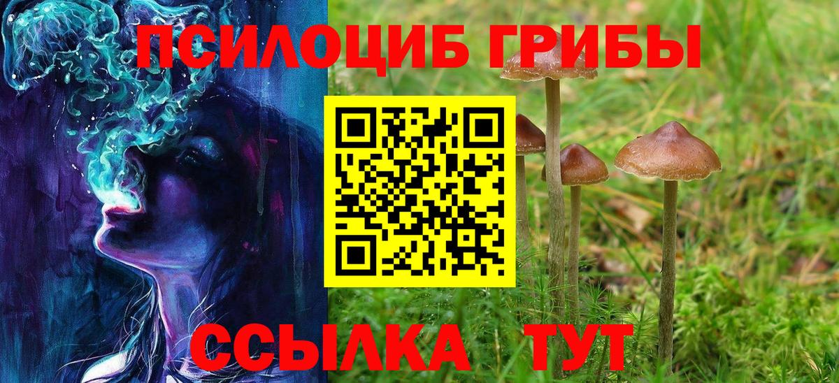 Галлюциногенные грибы GOLDEN TEACHER Вичуга