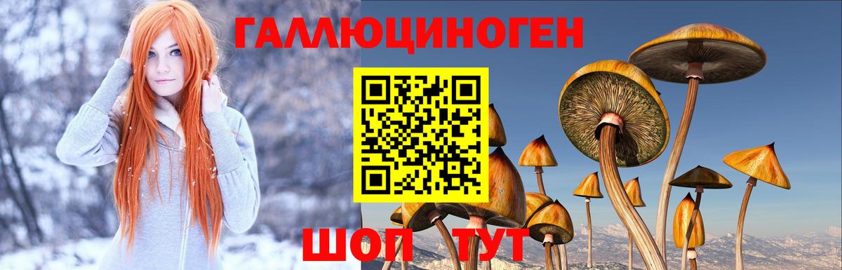 Псилоцибиновые грибы прущие грибы Вичуга